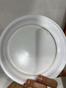 Dinner Plates Of 12