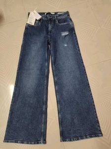 Roadster Wide Leg Distressed Jeans