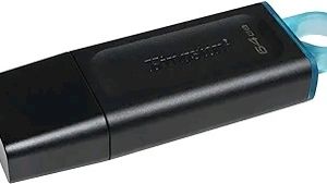 Kingston DataTraveler 64 GB Pen Drive