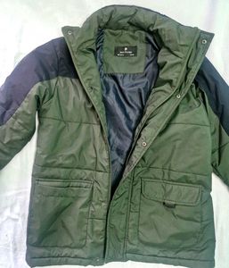 Stylish Olive Green Jacket [fixed price]