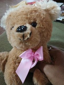 Soft Toy