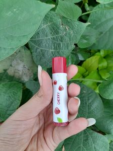 Combo Of 2 Pigmented Lipbalms