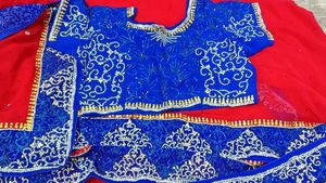 Red &amp; Blue Embellished Saree