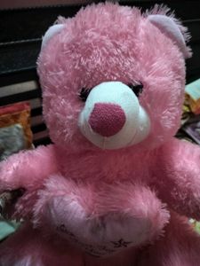 Pink Teddy Bear