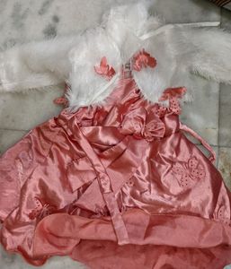 FROCK WITH FUR COAT