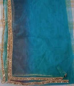 Colorful net Dupatta pack of 5