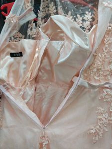 Elegant Light Pink Gown