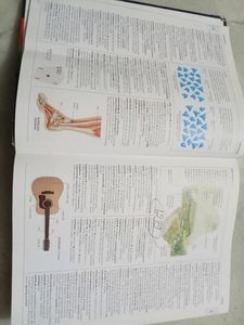 Dictionary