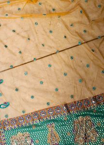 Gorgeous Lehenga Choli