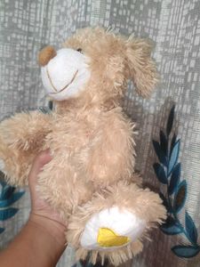 Teddy Bear