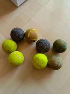 Used Tennis Balls - 8 Pack