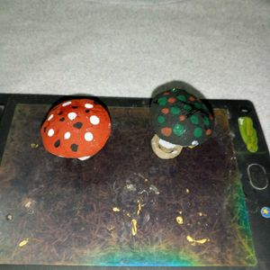 Mashroom Showpeace.