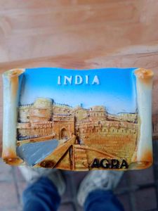 Marbel Agra Fort  Fridge Magnet