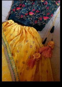 Beautiful Choli