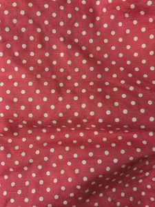 Crop Tie Up Polka Dot Top By Ginger