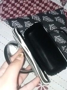 Zebra Print specs case purse style