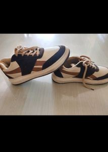 Men Shoe