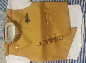 Elegant Mustard Colour Vest & Shirt Set