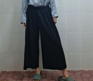 Palazzo pants