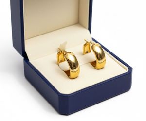 Golden Hoop Earrings