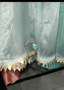 Elegant Ethnic Skirt