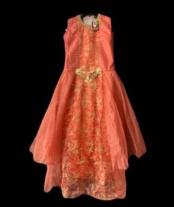 Beautiful Ethnic Gown
