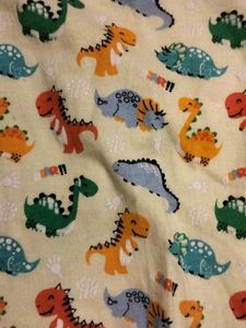 Cute Dinosaur Shirt (2-3 Years)