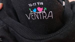 Girls T Shirt With Lion Sequence