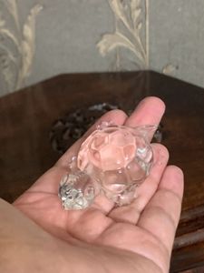 Huge Sale💯Crystal Tortoise 🐢