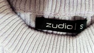 Amazing Bodycon Zudio Shines To