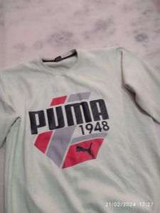 Sweatshirts Green Casual Wear
