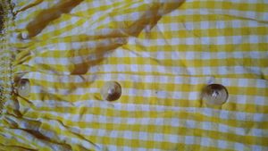 Yellow Gingham Off-Shoulder Top