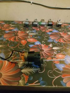 Multiple Choice Gear Motors Fully Working