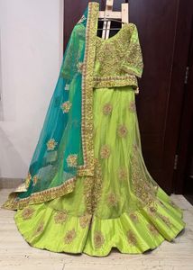 Elegant Embroidered Lehenga Choli