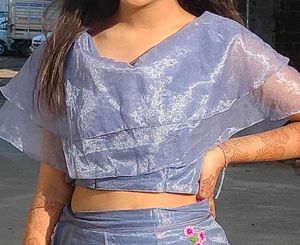 Blue Embroidered Crop Top and Skirt Set