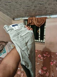 Light Grey Formal Stretchable Pants