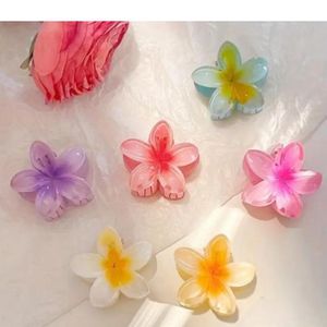 Pinteresty Hair Clips