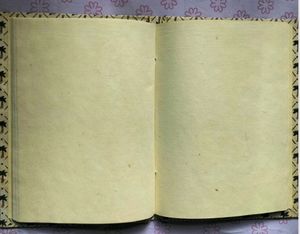 A5 Diary