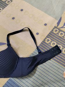 Striped Navy Bra