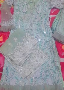 Elegant Sequence & White Embroidered Dress