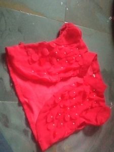 Red Embellished Blouse