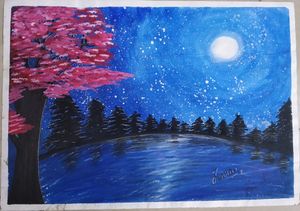 Beautiful Night View