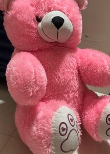 Pink Teddy For Kids