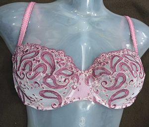 Elegant Pink Embroidered Bra🔥