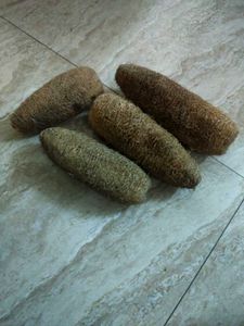 Best Natural Loofah Sponges