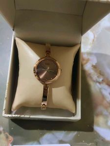 Titan Watch