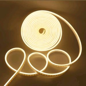 Neon Led Warmwhite 5mtr Pack Of 2