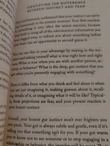 The Mountain Is You By Brianna Wiest