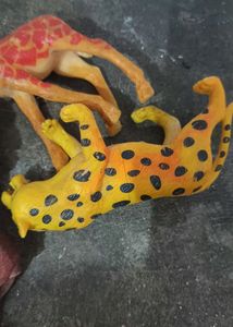 Animal Set Of 5 In One Pack