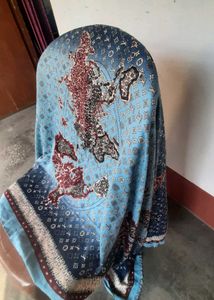 Louis Vuitton Luxury and elegant Stole